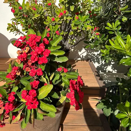 Hotel La Luna Blanca Torremolinos